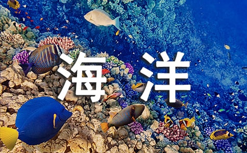 最新保护海洋资源的倡议书(精选14篇)