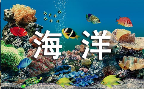 深圳海洋世界导游词