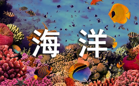 小班体育运送海洋球游戏教案