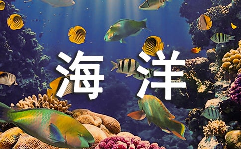 关于北京海洋馆的游玩攻略
