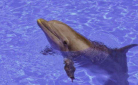 [ͨ��]����ɫ�ĺ��ൺ�������