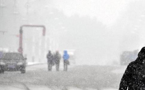 暴雪寒潮应急预案