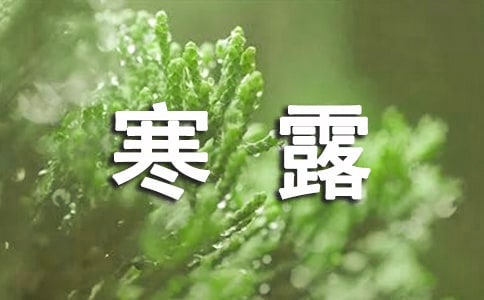 寒露的经典语录(精选210句)