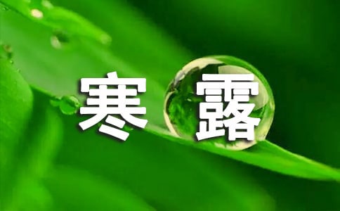 形容寒露的句子
