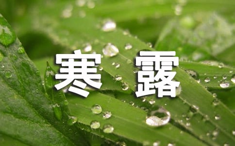 ��¶�����ľ�����¼