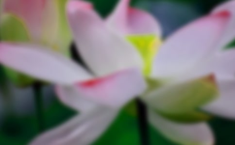 ������ĺɻ��Ķ���-���Ȼ