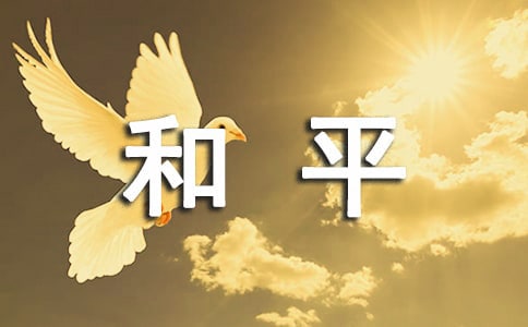 为了和平纪录片观后感