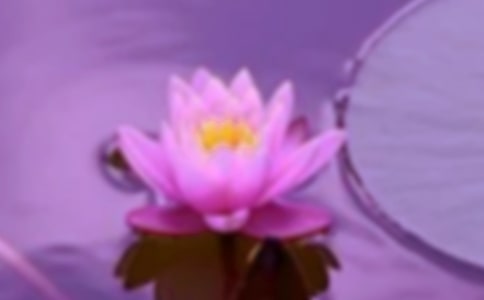 《和谐师生关系的心理构建》读后感