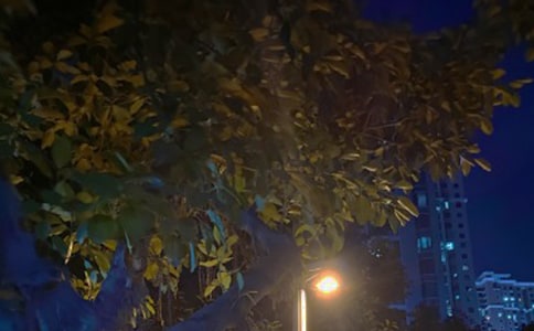 ��ཡ���̰���ҹ�����Ϸ