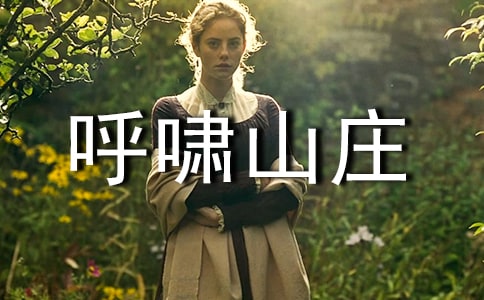 呼啸山庄读后感范文优秀