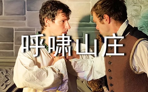 (精品)《呼啸山庄》读后感15篇