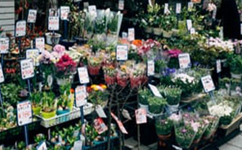 关于花店活动方案