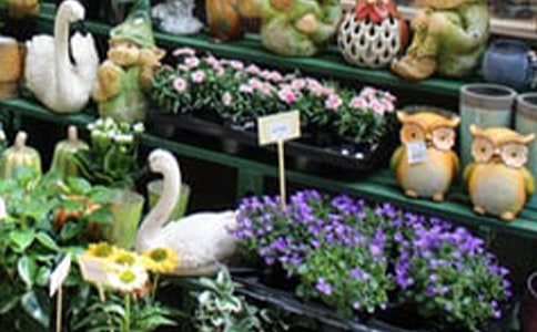 花店活动方案