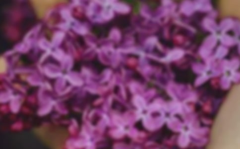 回家的花朵阅读答案