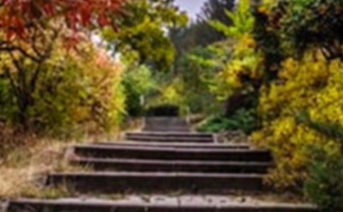 《巨人的花园》教案(精选19篇)