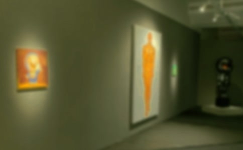 毕加索画展观后感