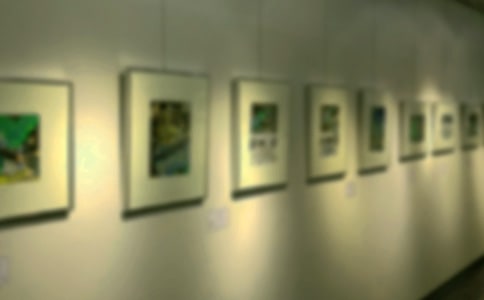 书画展活动方案锦集【15篇】
