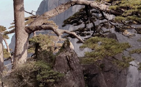 黄山导游词13篇