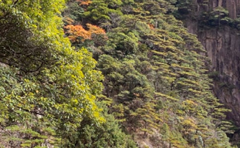 黄山的景点导游词