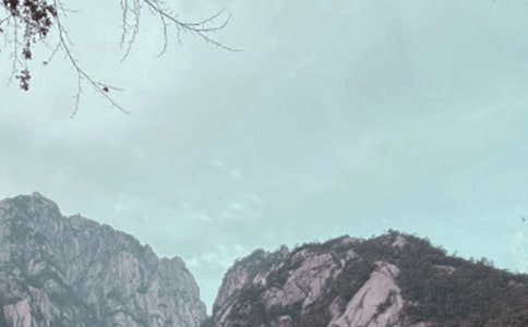 ��ɽ�ƺ��ĵ��δ�(10ƪ)