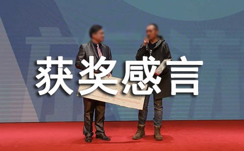 书法比赛获奖感言