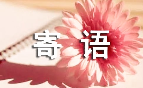 小学六年级寄语