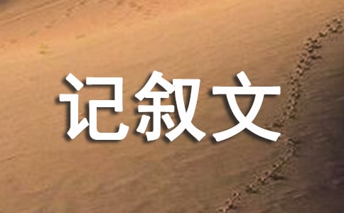 生活处处皆学问-记叙文