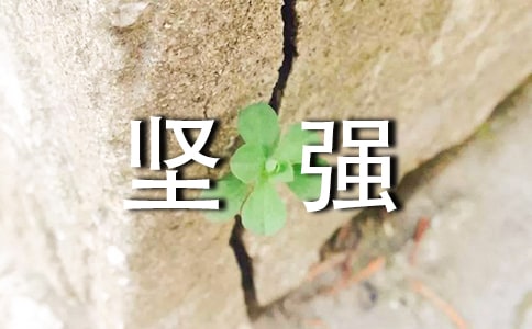 ͨ�����ݼ�ǿ�ľ���ժ¼50��