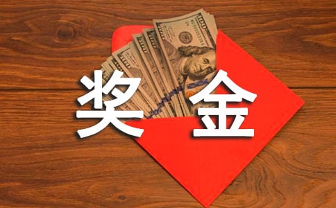 公司的奖金制度
