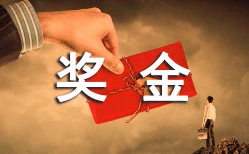 公司奖金制度(通用15篇)