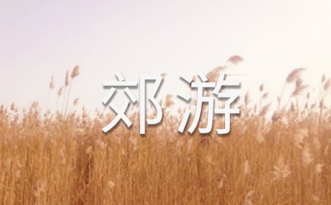 一起去郊游教案(精选16篇)