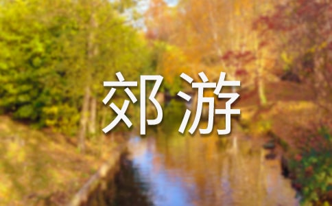 一起去郊游教案11篇