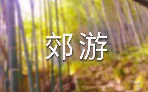 去郊游教案含反思