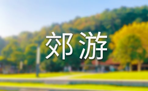 《郊游》大班教案