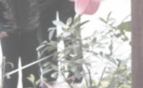 养鱼的水能浇花吗