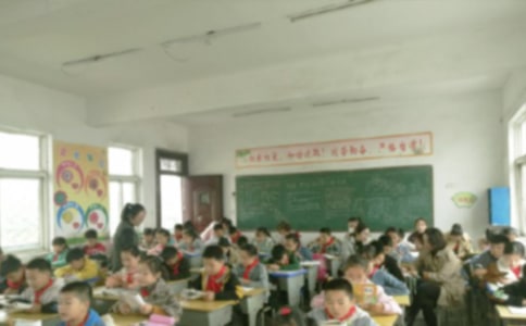 小学教学计划(集锦15篇)