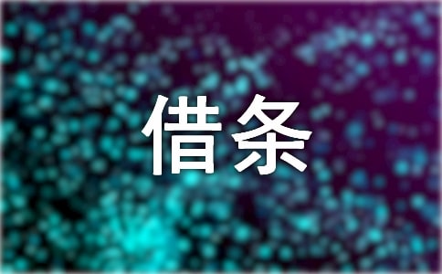 个人向个人借款借条【精】