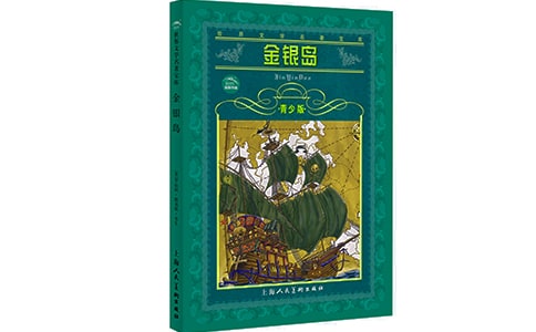 金银岛小学生读书笔记
