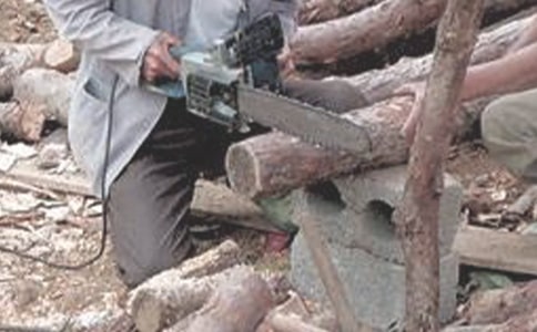 ú�����ĵ����