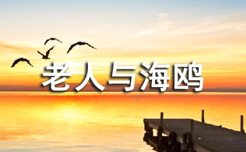 老人与海鸥的教案(精选10篇)