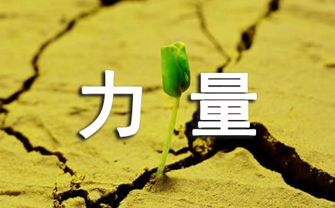 《自信的力量》读后感