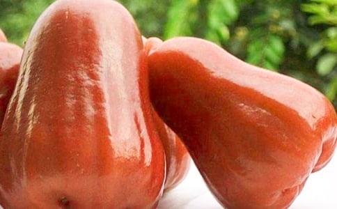 莲雾果泥的做法