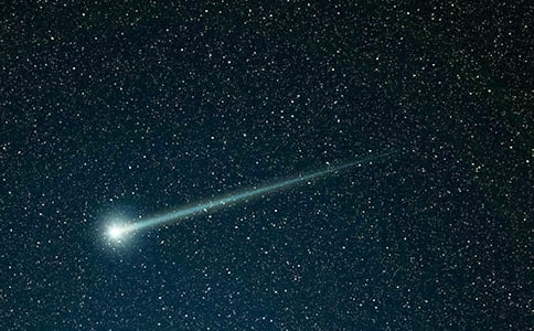 天天酷跑流星狮爷怎么培养