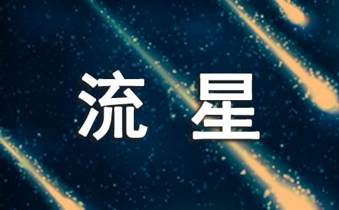 大班语言教案《流星花》