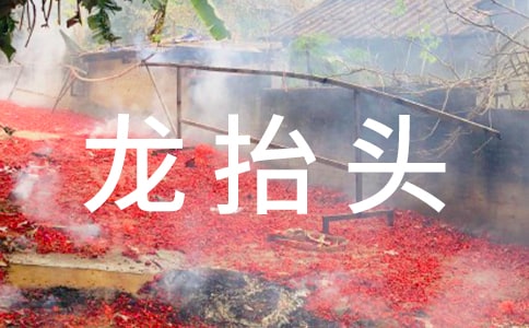 温馨龙抬头祝贺词100句