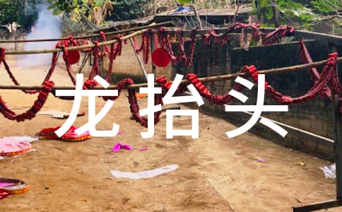 2017年龙抬头是几月几日