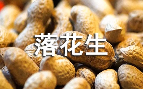 做有用的人——读《落花生》有感