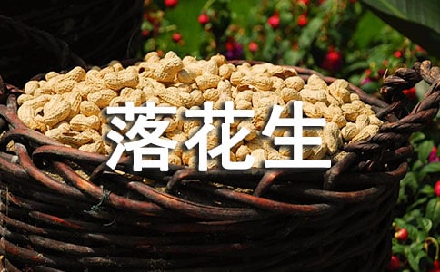 有关《落花生》教案集合9篇