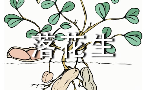 《落花生》读书笔记(通用75篇)