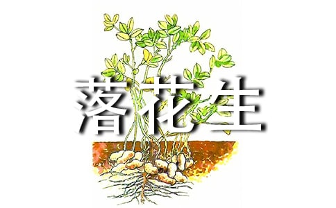 [����]�����仨�����и�15ƪ